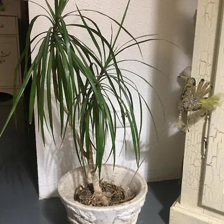 Apartamento Vlasska Praga